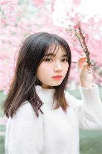 孟亦许清《许清孟亦初》完整版免费在线阅读_（孟亦许清）全集免费阅读