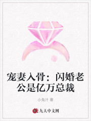 宠妻入骨：闪婚老公是亿万总裁（沈岚陈嫣）全文免费阅读无弹窗大结局_（沈岚陈嫣）宠妻入骨：闪婚老公是亿万总裁小说最新章节列表_笔趣阁（沈岚陈嫣）
