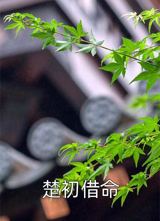 花卿月秦渐寒《守得君归处》全文免费阅读无弹窗大结局_（花卿月秦渐寒）最新章节免费在线阅读