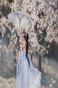 强烈推荐陆斯衍纪雨桐《纪雨桐陆斯衍大结局小说》无广告阅读_（陆斯衍纪雨桐）全本免费在线阅读