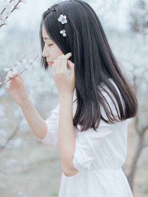 已完结我真的是人生赢家(齐飞燕叶天)最新热门小说_《已完结我真的是人生赢家》全集免费阅读